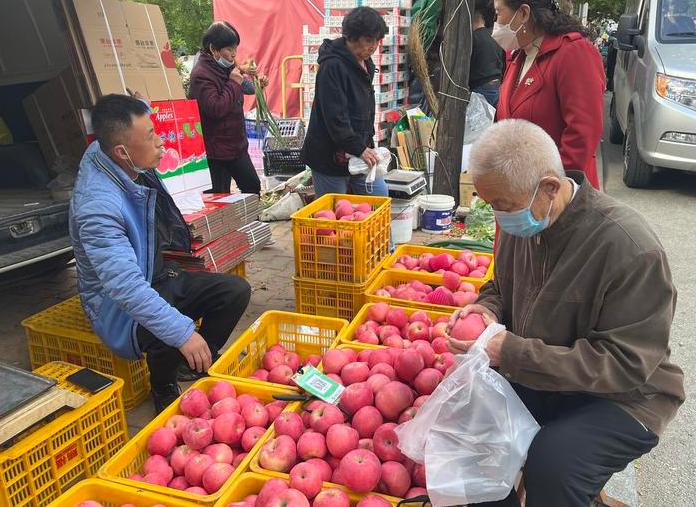 烟台红富士苹果最新价格动态解析