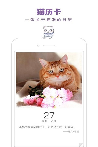 猫咪软件最新版下载探索，全新体验与独特功能一览